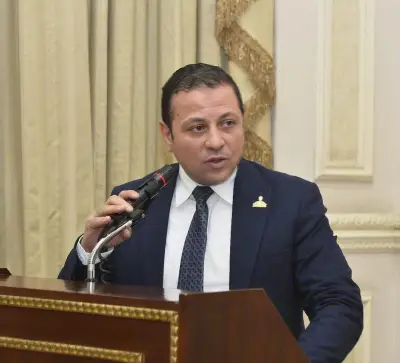 النائب عادل السكري: المشاركة في قمة مجموعة السبع تعكس الثقل السياسي والدبلوماسي لمصر