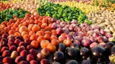 وزارة الزراعة تنفي رفض شحنات التصدير وتؤكد طفرة غير مسبوقة