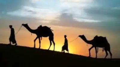 عالم بالأوقاف: الهجرة إلى الله معنوية وليست انتقالاً مكانياً