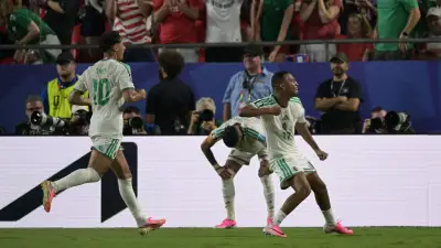 جماهير الجزائر تحتفل بهدف النمسا لتفادي مواجهة إسبانيا في المونديال