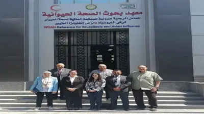 معهد بحوث الصحة الحيوانية يبحث مع وفد أمريكي تعزيز التعاون في الصحة الحيوانية