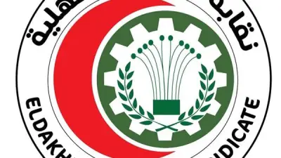 نقابة أطباء الدقهلية ترد على اتهامات وفاة طفل المنزلة وتؤكد تقديم الرعاية الكاملة