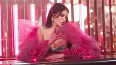 هيفاء وهبي تحتفل بنجاح حفلها في القاهرة بحضور جماهيري كبير