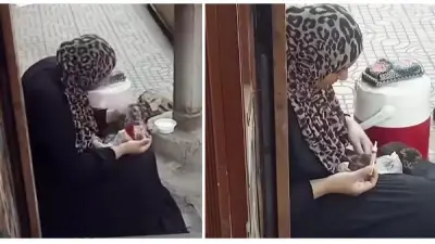 مقطع فيديو مؤثر لسيدة تطعم قططًا رضيعة بالتنقيط في الشارع