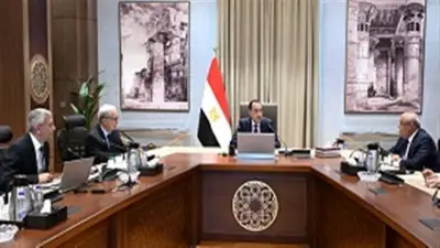 مدبولي يستعرض خطة تطوير أداء الشركة القابضة للأدوية لتعزيز العوائد الاقتصادية