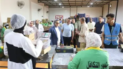 محافظ الوادي الجديد توجه بإدراج أنشطة التكوين المهني بالمشروعات الخضراء الذكية