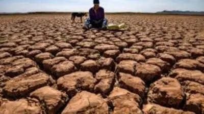 حرب إيران والجفاف يهددان حصاد القمح الأسترالي ويرفعان الأسعار العالمية