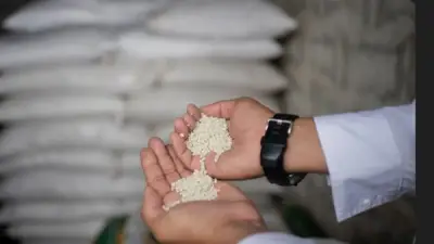 وزارة الزراعة تنفي إلغاء صرف الأسمدة وتؤكد التوجه للسماد العضوي