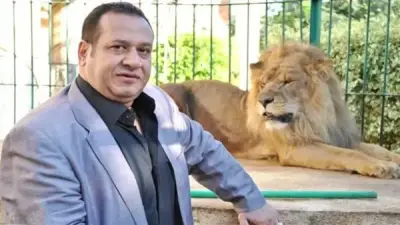 النيابة تأمر بحجز صبري نخنوخ ونجل شقيقه وآخرين في مشاجرة معرض سيارات