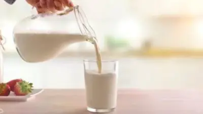 ملعقة زبادي على اللبن تحسن الهضم.. طبيب يوضح السبب