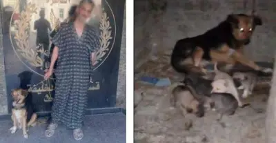 تدخل أمني بعد رصد منشور عن كلب في مدخل عقار بالخليفة