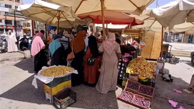 إعادة تشغيل منفذ الشعلة بالخارجة وضخ خضار وفاكهة بأسعار مخفضة