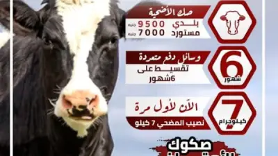 غداً انطلاق المرحلة الأولى لتوزيع أنصبة المضحين في مشروع صكوك الأوقاف