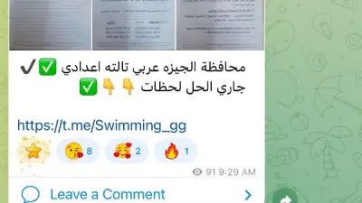 شاومينج ينشر امتحانات عربي الجيزة ودين كفر الشيخ والدقهلية بعد بدء اللجان