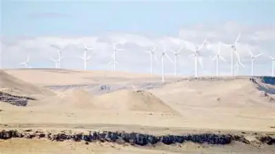 أستاذ هندسة بترول: خطة الطاقة الخضراء تحتاج وقتًا وتحفيز المواطنين