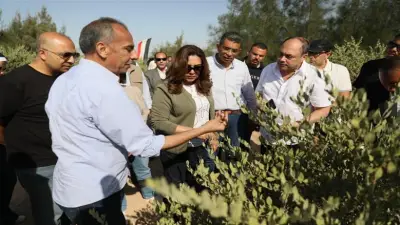 وزيرة التنمية المحلية: مشروع الجوجوبا نموذج متكامل للاستغلال الأمثل للموارد