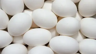 تفسير حلم البيض في المنام لابن سيرين: كنز وذرية أم هموم مخفية؟