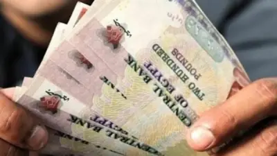 مصادر تمويل صندوق تكافل وكرامة وفقًا لقانون الضمان الاجتماعي الجديد