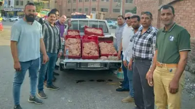ضبط مخزن دواجن نافقة أسفل مسجد في الفيوم لبيعها لمحلات الكريب