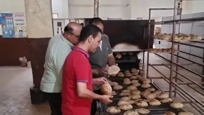 الخبز خارج أي تعديل.. نائب: الدولة تتجه لتطبيق شرائح في الدعم