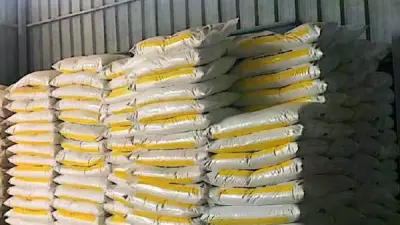 طلب إحاطة برلماني بشأن تداعيات تخفيض حصص الأسمدة المدعمة على الأمن الغذائي