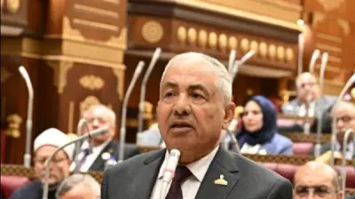 وكيل الشيوخ يطالب بإنشاء صندوق تحوط للطاقة لمواجهة تقلبات الأسعار