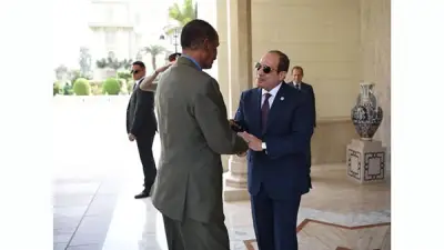 السيسي وأفورقي يبحثان دعم السودان وأمن البحر الأحمر بالقاهرة