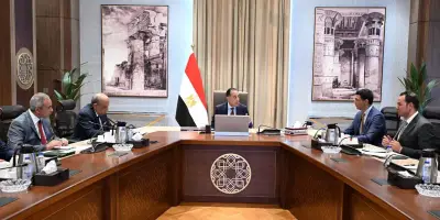 رئيس الوزراء يوجه بتسريع إجراءات تركيب ألواح الطاقة الشمسية بالمصانع والمنازل