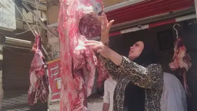 ضبط نصف طن لحوم غير صالحة ومذبوحة خارج المجازر في المنيا