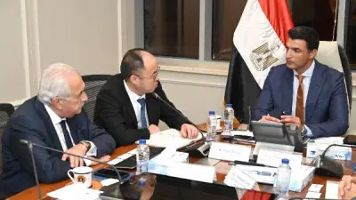 الحكومة تناقش توسعات شركة صينية للإطارات وتعميق التصنيع المحلي