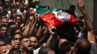 خبير: تحركات مصر الدبلوماسية والإنسانية تجاه فلسطين مستمرة بلا توقف