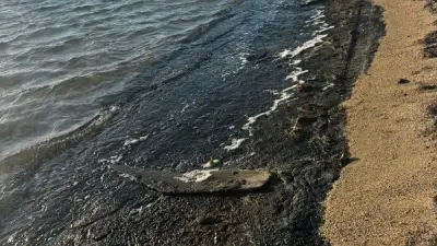 لغز بقعة الزيت على شاطئ الجبيل.. لجنة فنية تتدخل لتحديد المصدر وحجم التأثير البيئي