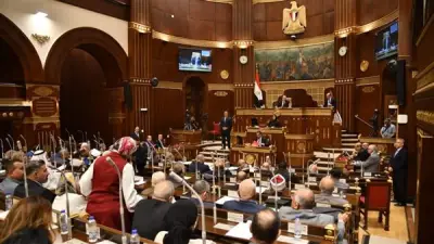 توصية برلمانية بحوافز استثنائية للمصريين بالخارج في القطاع الصناعي