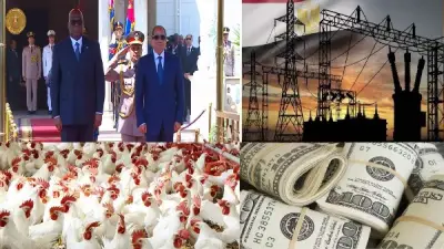 السيسي ونظيره الكونغولي يوقعان مذكرات تفاهم وأسعار الذهب والدولار والدواجن