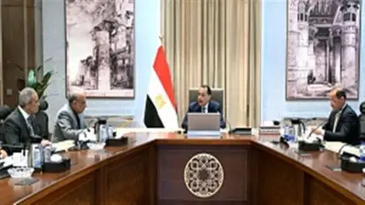 مدبولي يتابع تمويل مشروعات الطاقة الجديدة والمتجددة