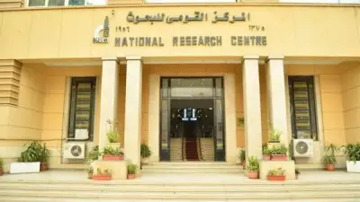 بوليمر ذكي مصري جديد يعزز كفاءة الطاقة والتقنيات المتقدمة