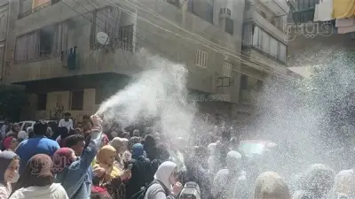 باقات ورد وألعاب نارية احتفالاً بانتهاء امتحانات الإعدادية بالشرقية