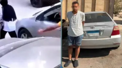 التحقيق مع متهم بالتحرش بفتاة في حدائق الأهرام بعد رصده بفيديو