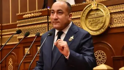 نائب يطالب بملاحقة مروجي الدعارة إلكترونياً وتفعيل نصوص القانون