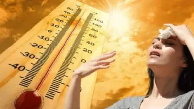 مخاطر الصيف وارتفاع الحرارة: كيف تحمي نفسك من الإجهاد الحراري وضربة الشمس؟