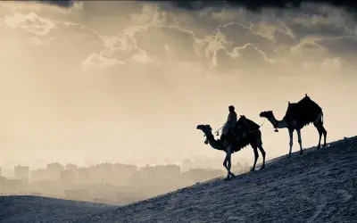 أمين الفتوى يوضح لماذا كانت الهجرة النبوية من أيام الله
