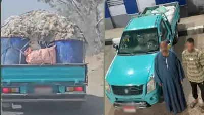 ضبط سيارة محملة بدواجن نافقة بعد تداول فيديو بالشرقية