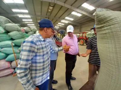 محافظ أسيوط: توريد 241 ألف طن قمح منذ بداية الموسم
