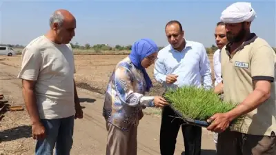 جامعة بنها تطلق الموسم البحثي الجديد للأرز لإنتاج أصناف موفرة للمياه