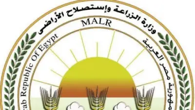 البيض المعلب لضبط الأسعار.. الزراعة: التصنيع الزراعي درع الأمن الغذائي