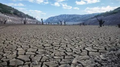 خبير: تغير المناخ وراء اتساع التصحر عالميا وإعادة التشجير ضرورية