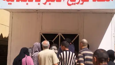 محافظ الدقهلية: انتظام بيع الخبز المدعم في 55 منفذاً من العاشرة صباحاً