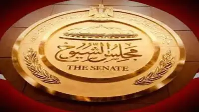 تطوير نادي أسوان ومراكز الشباب على طاولة مجلس الشيوخ الاثنين