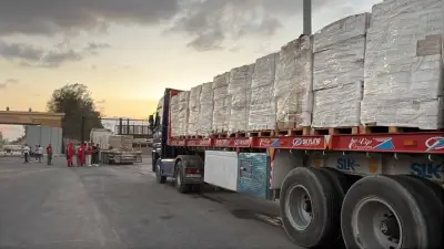 مصر تواصل تقديم المساعدات الإنسانية لدعم الأشقاء الفلسطينيين في غزة