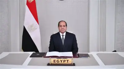 مصر: القضية الفلسطينية جوهر الصراع وتسويتها تحقق السلام العادل